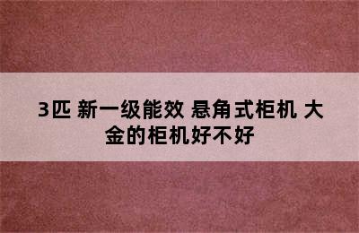 大金E-MAX α系列 WAC-W 2匹/3匹 新一级能效 悬角式柜机 大金的柜机好不好